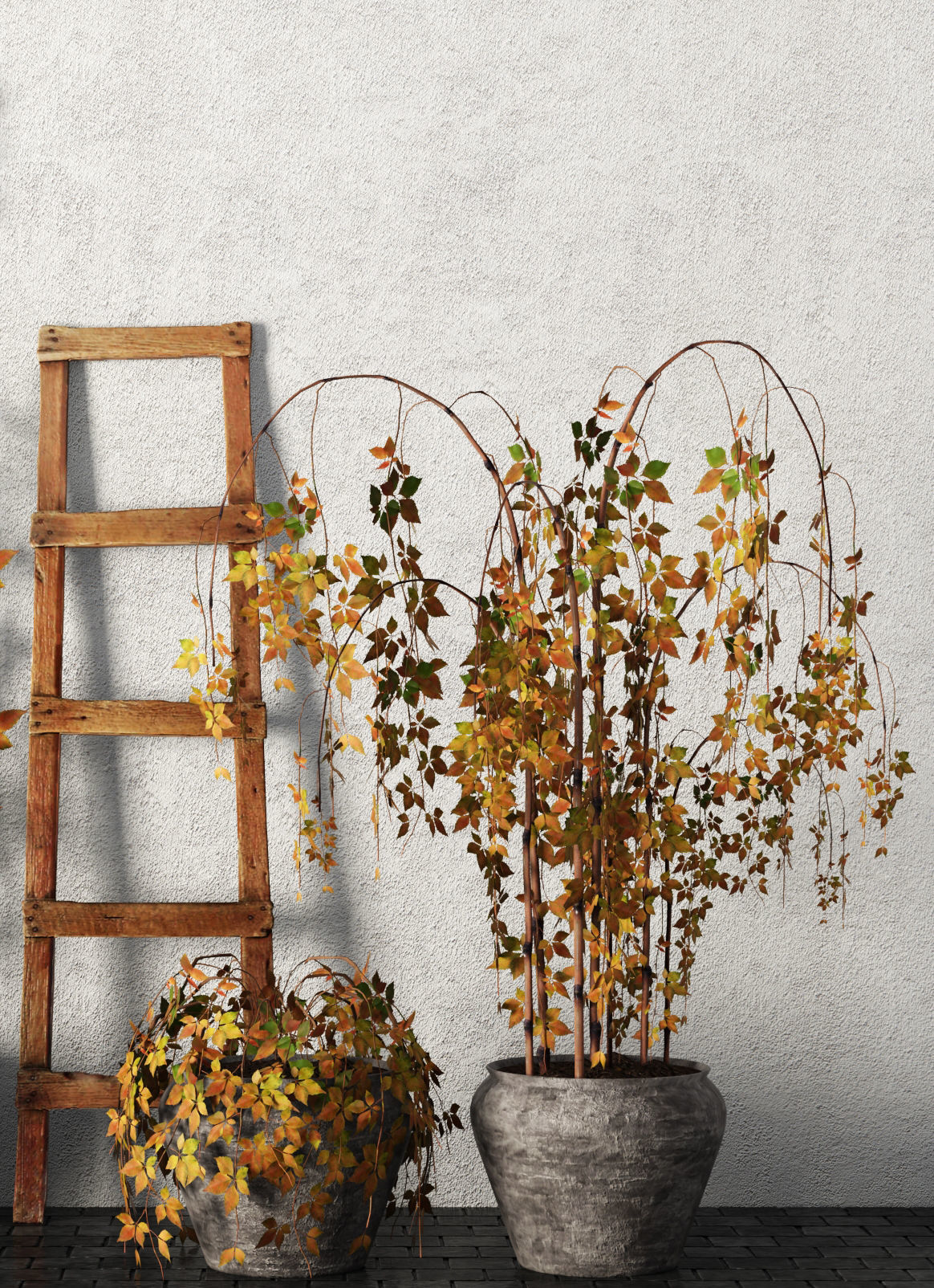 Plants in pots Set 3D model_5