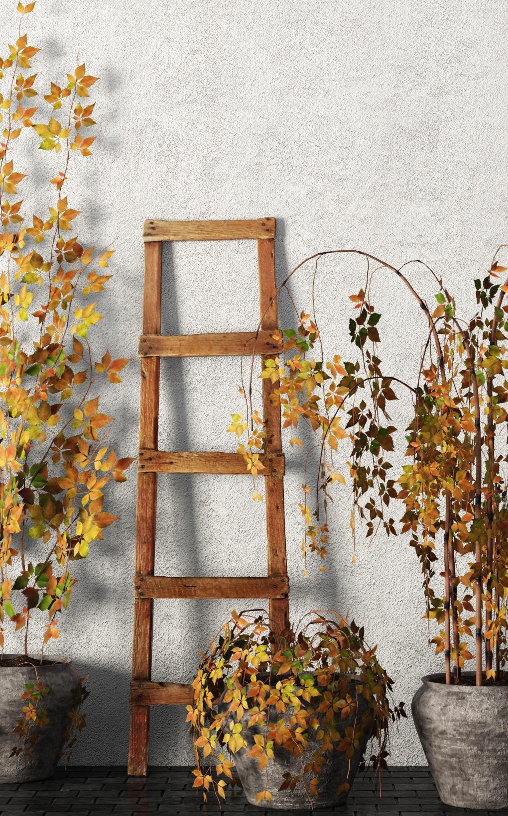 Plants in pots Set 3D model_3