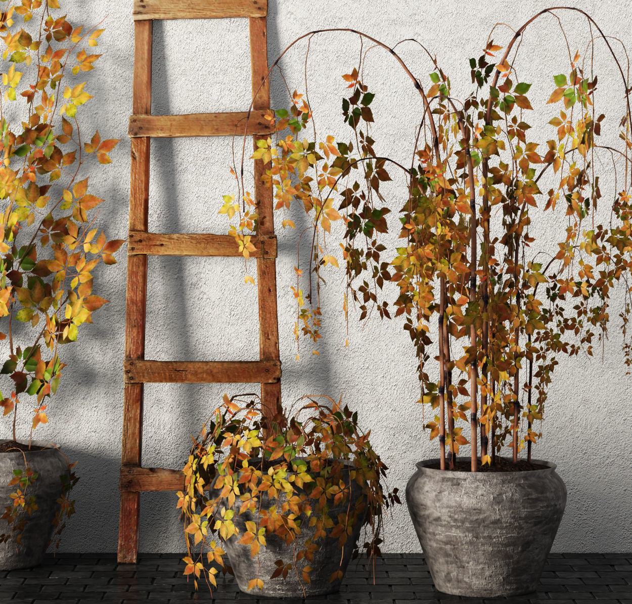 Plants in pots Set 3D model_4