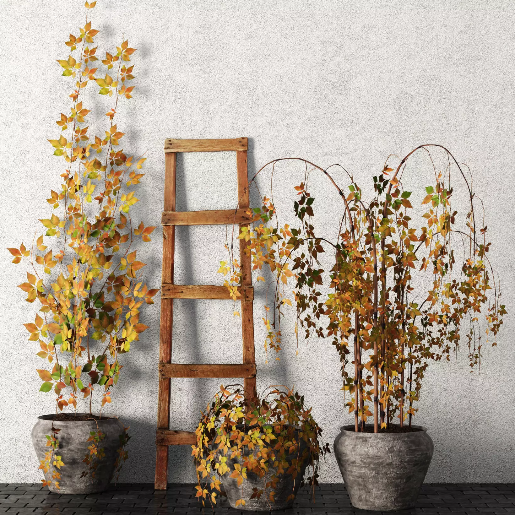 Plants in pots Set 3D model_0