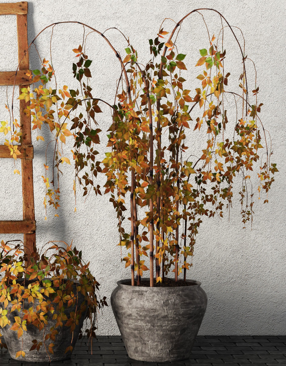 Plants in pots Set 3D model_1