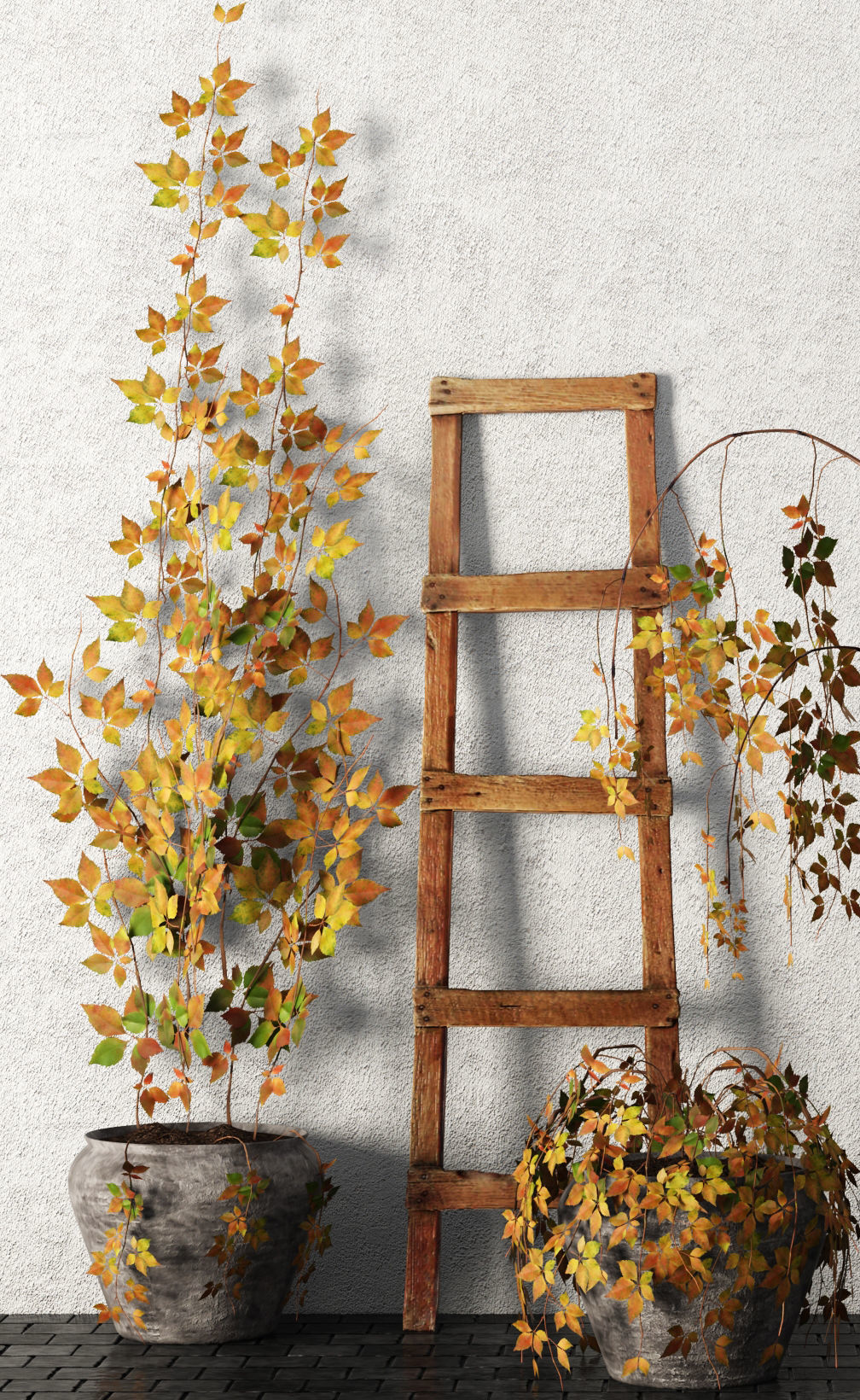 Plants in pots Set 3D model_2