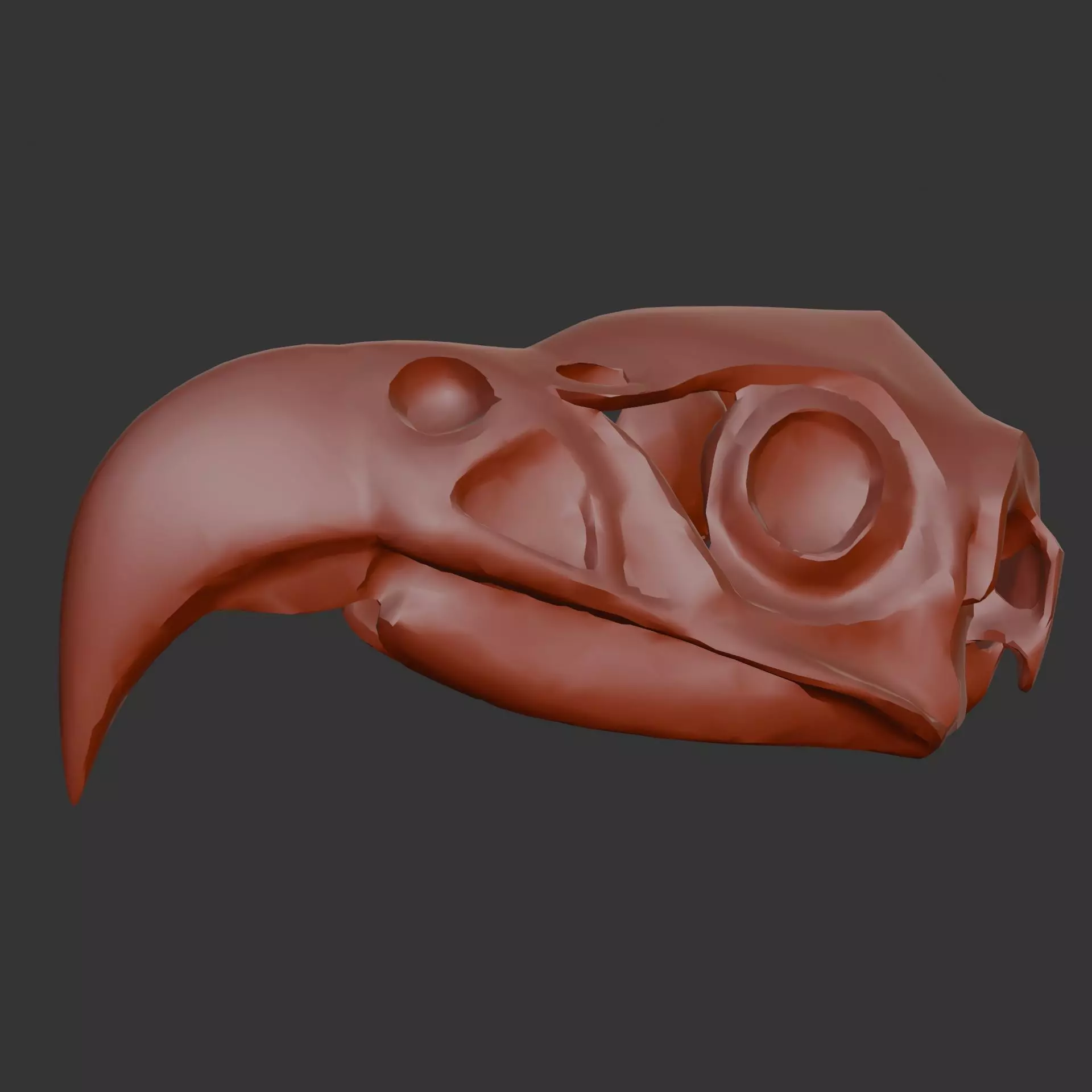 Bird Skull Free 3D model