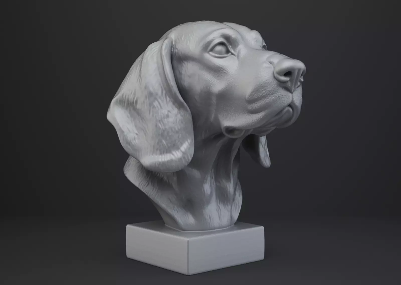 Beagle Dog Bust 3D print model