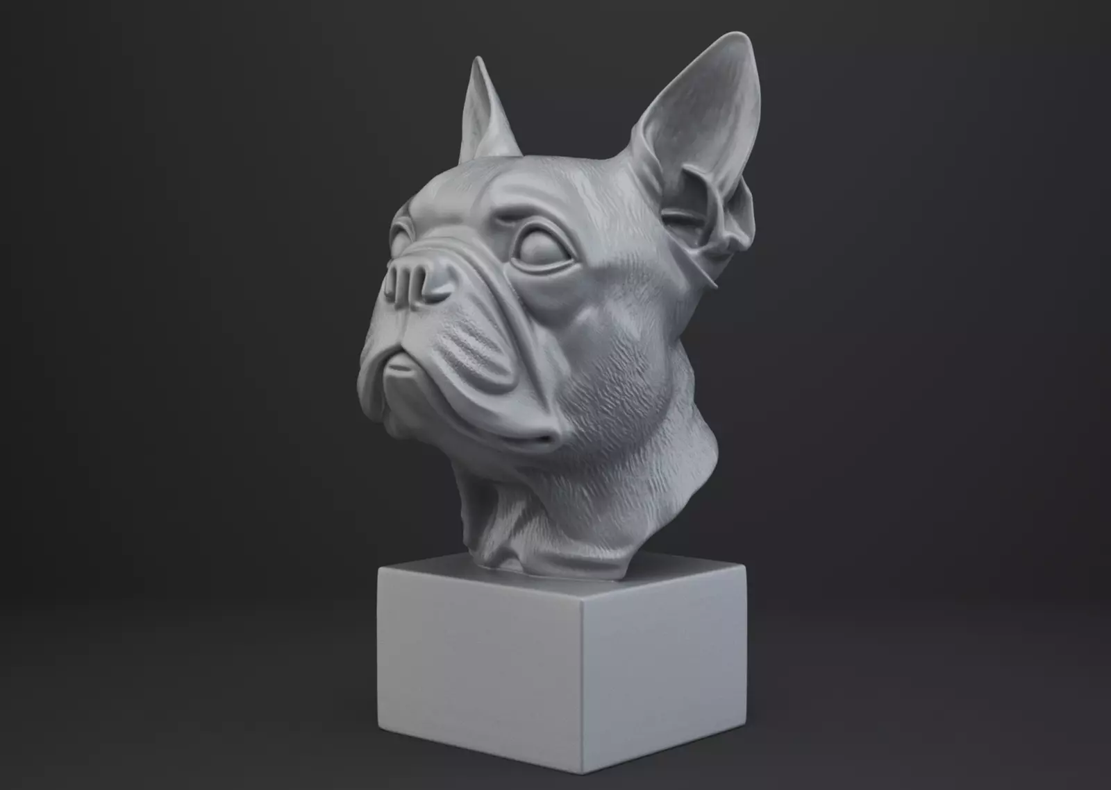 Boston Terrier Dog Bust 3D print model