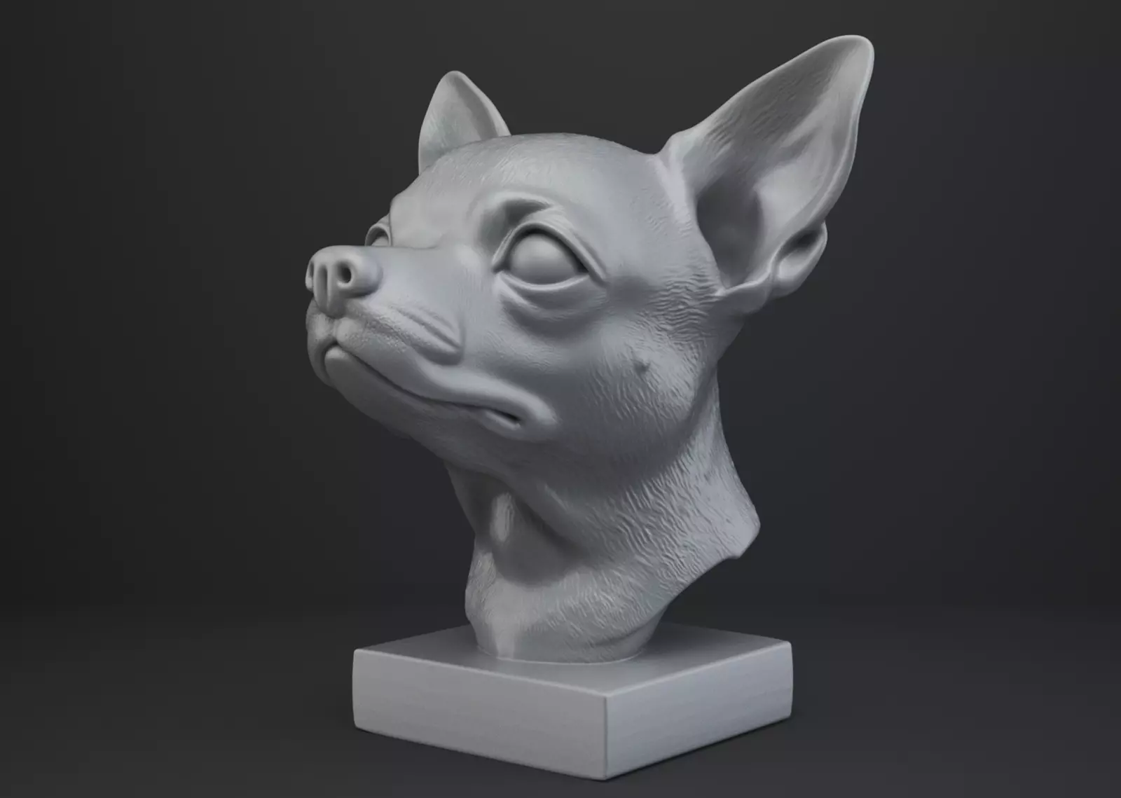 Chihuahua Dog Bust 3D print model