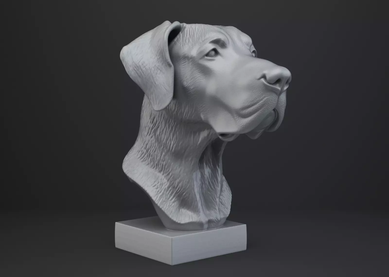 Great Dane Dog Bust 3D print model