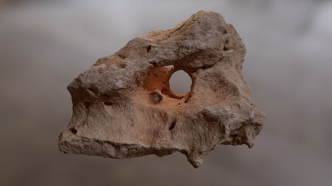Underwater rocks Low-poly 3D model