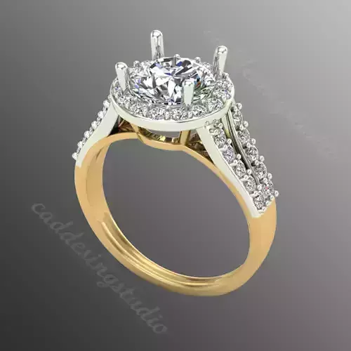 Ring bi107 3D print model