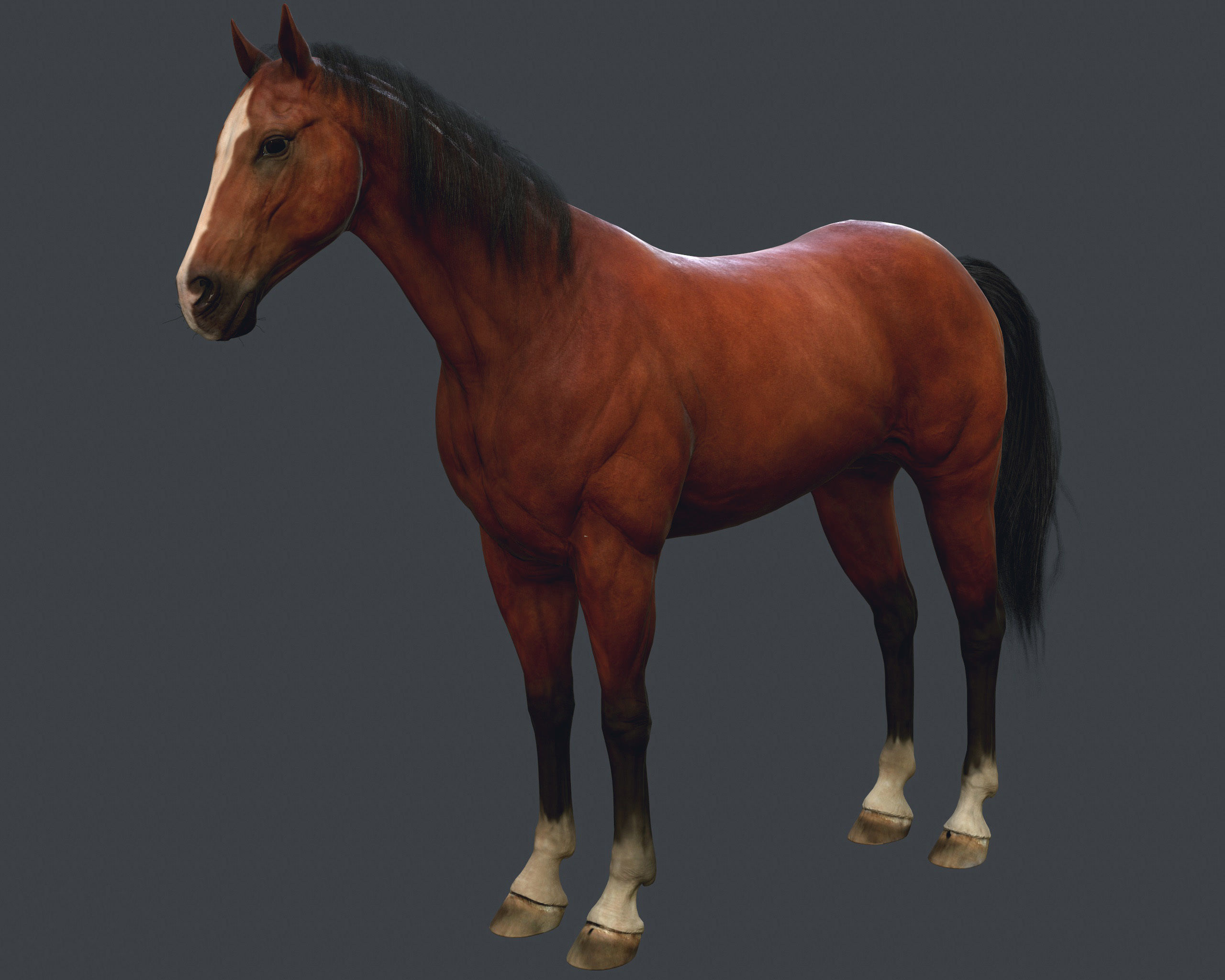 Game Horse up Low-poly 3D model_3