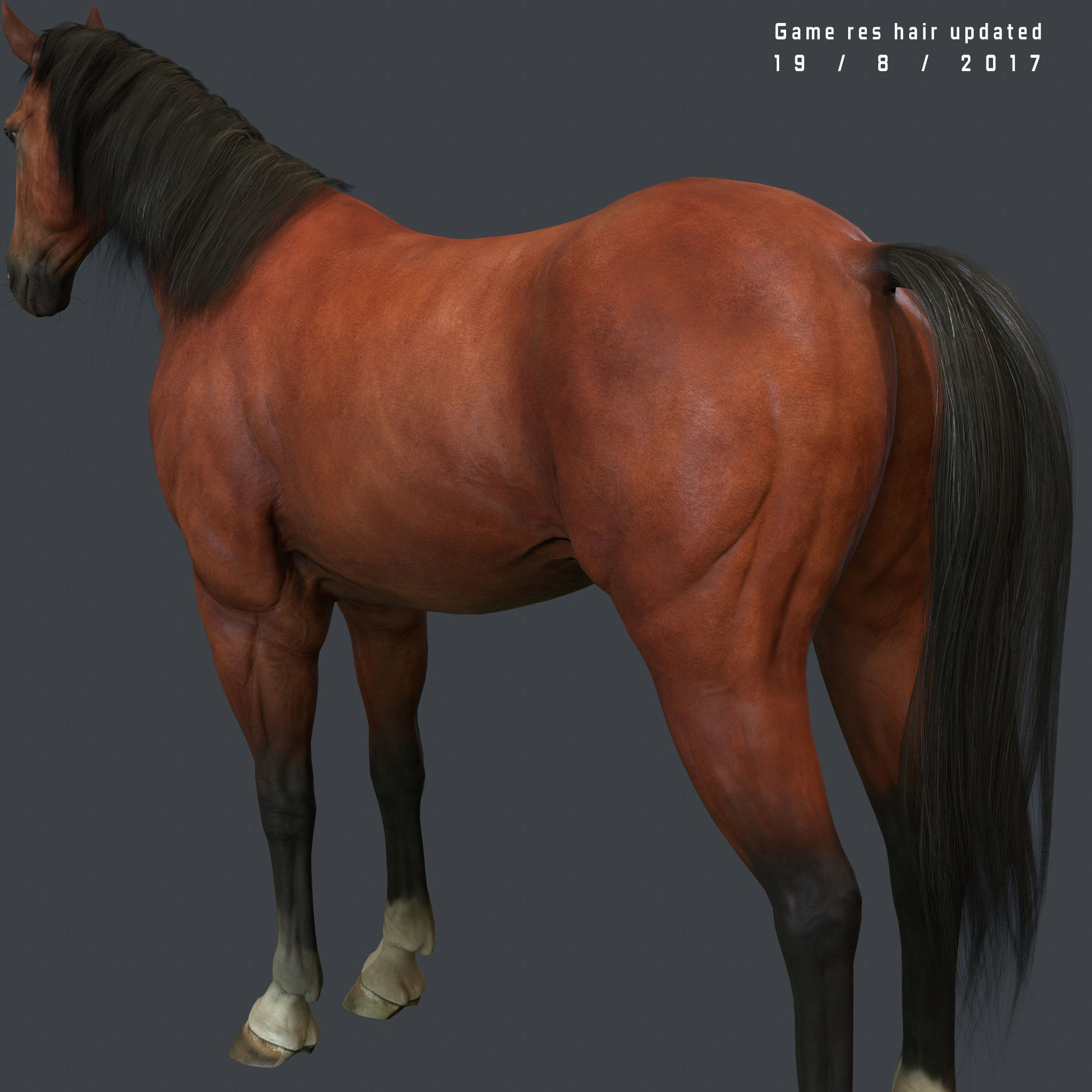 Game Horse up Low-poly 3D model_7