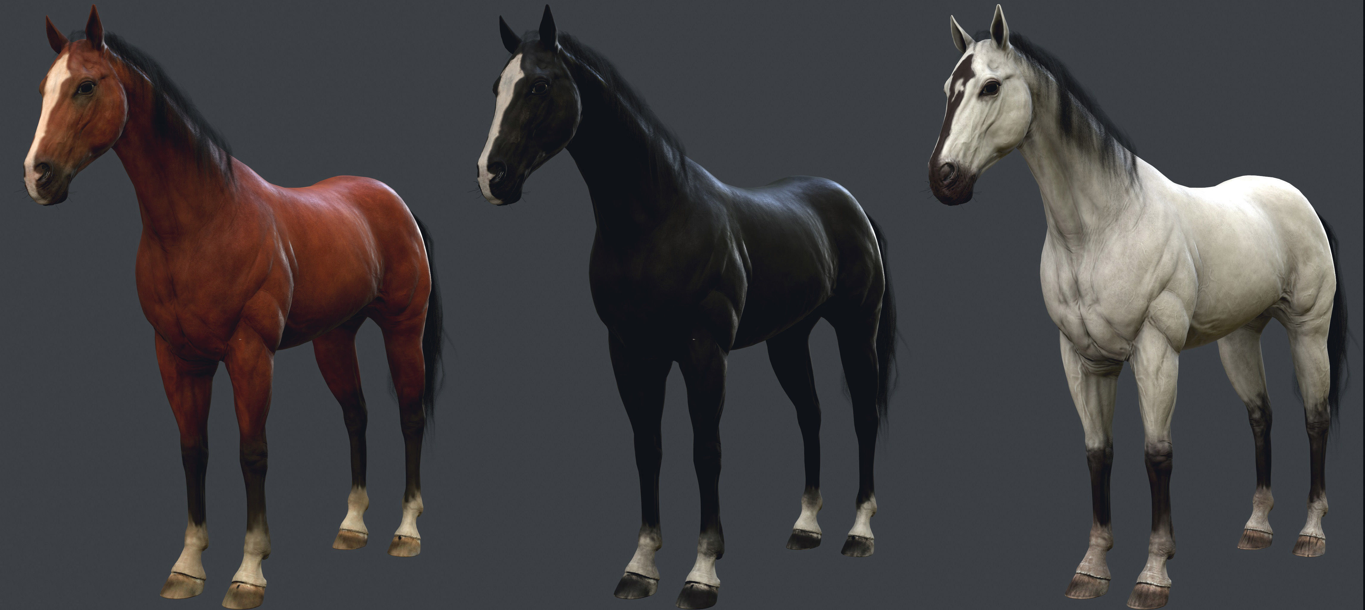 Game Horse up Low-poly 3D model_11