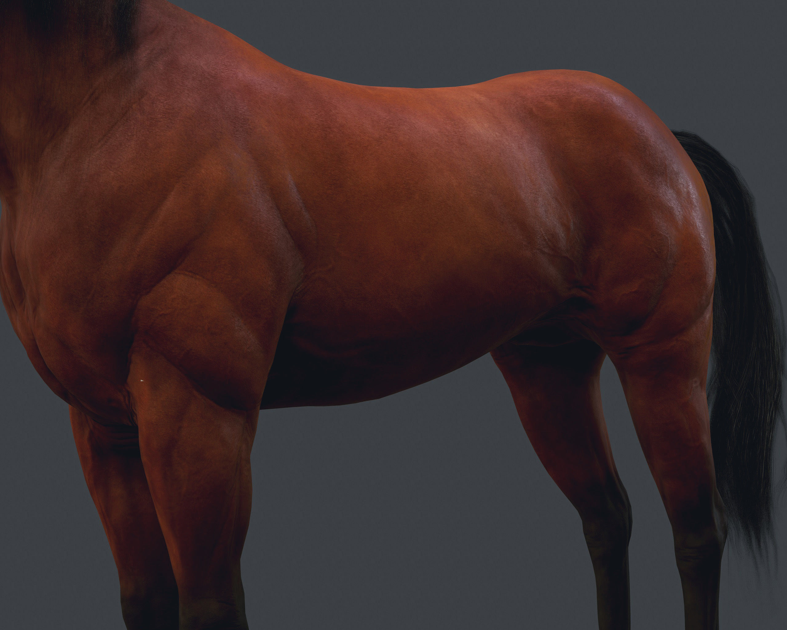Game Horse up Low-poly 3D model_8