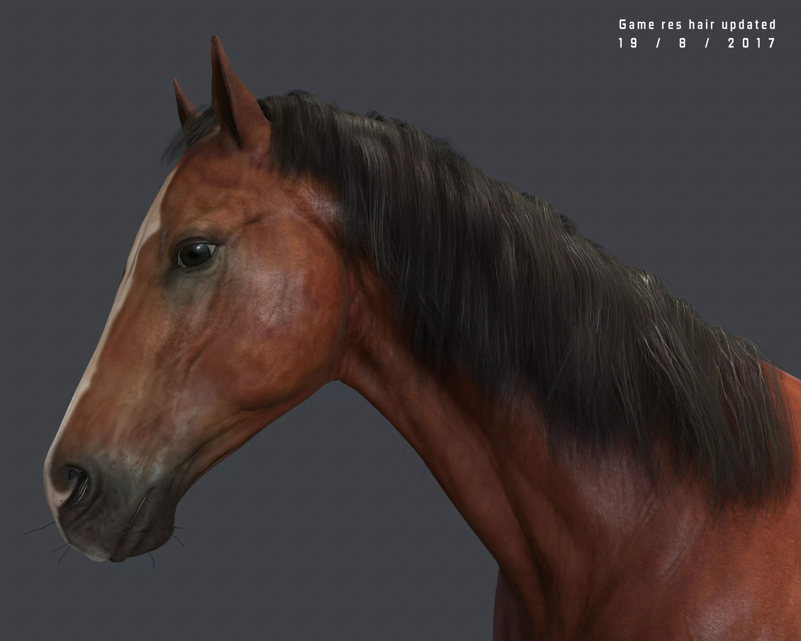 Game Horse up Low-poly 3D model_0