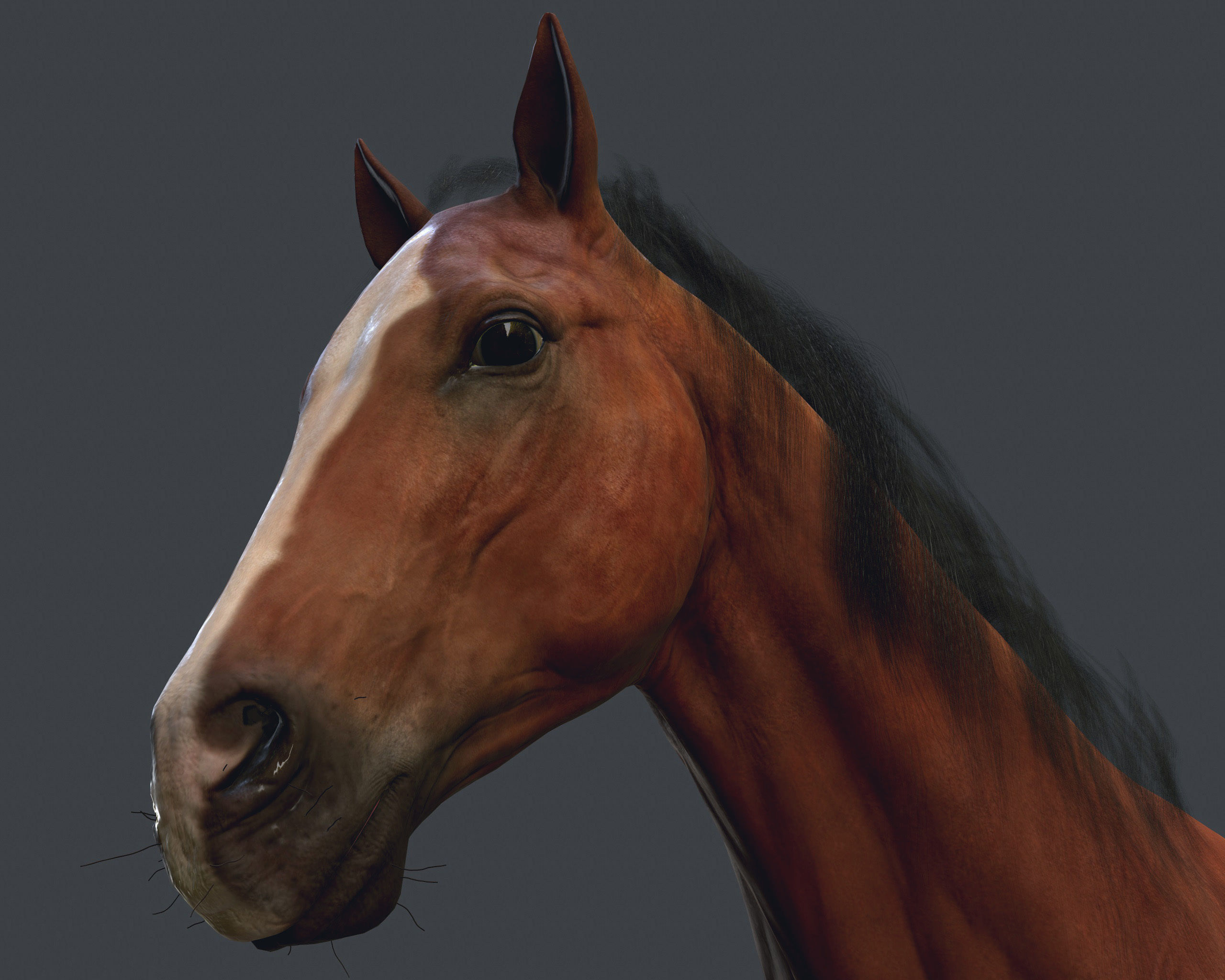 Game Horse up Low-poly 3D model_1