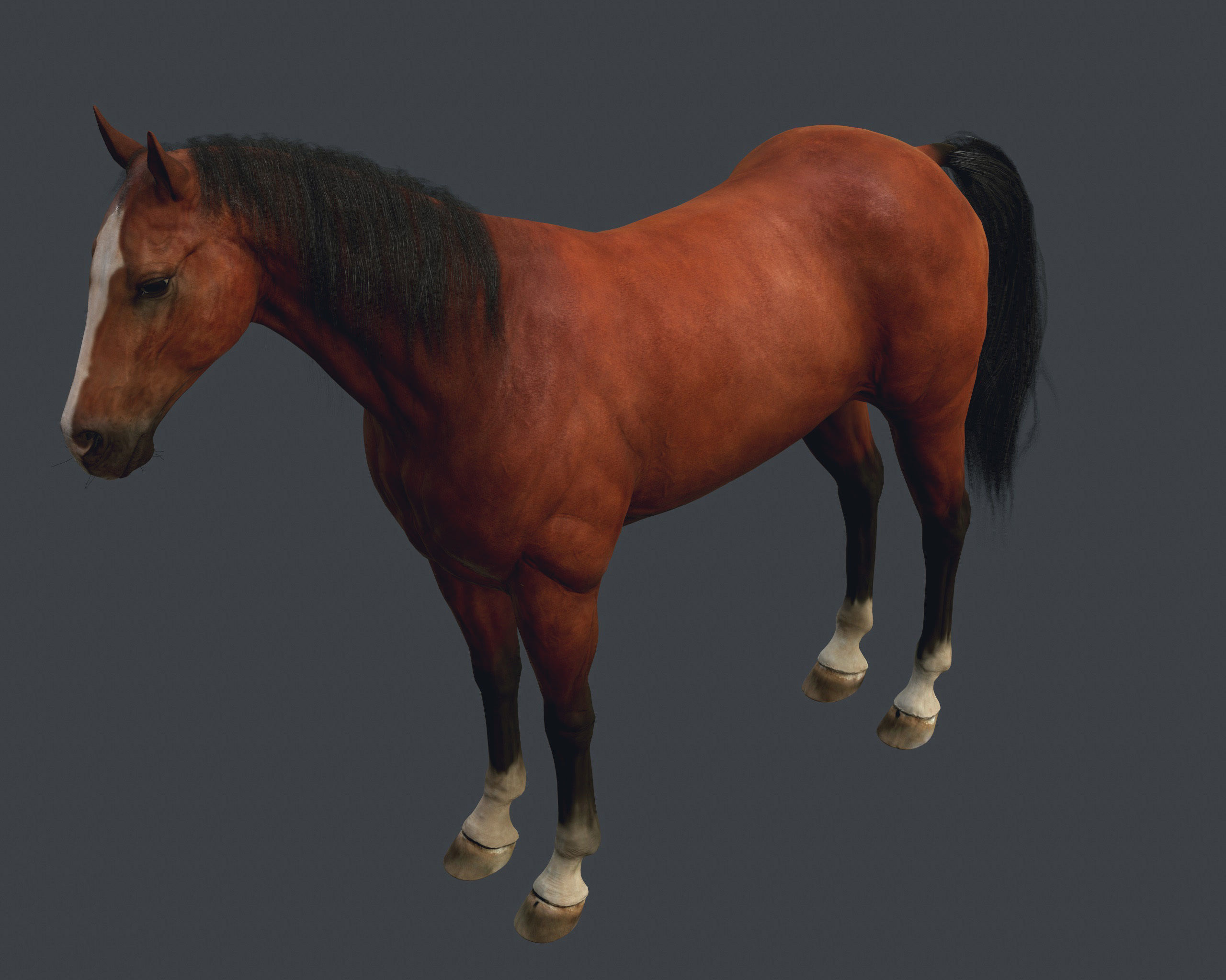 Game Horse up Low-poly 3D model_4