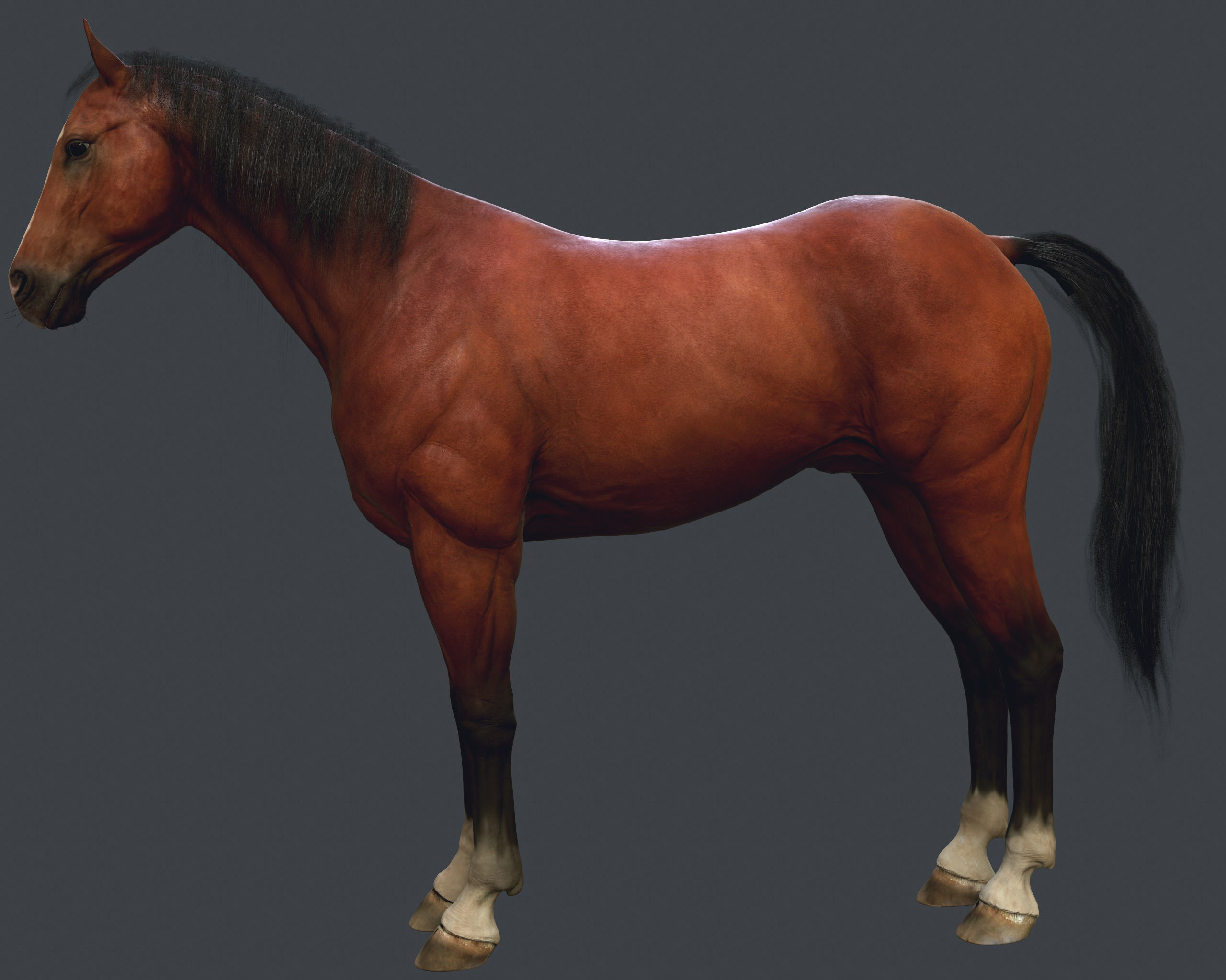 Game Horse up Low-poly 3D model_13
