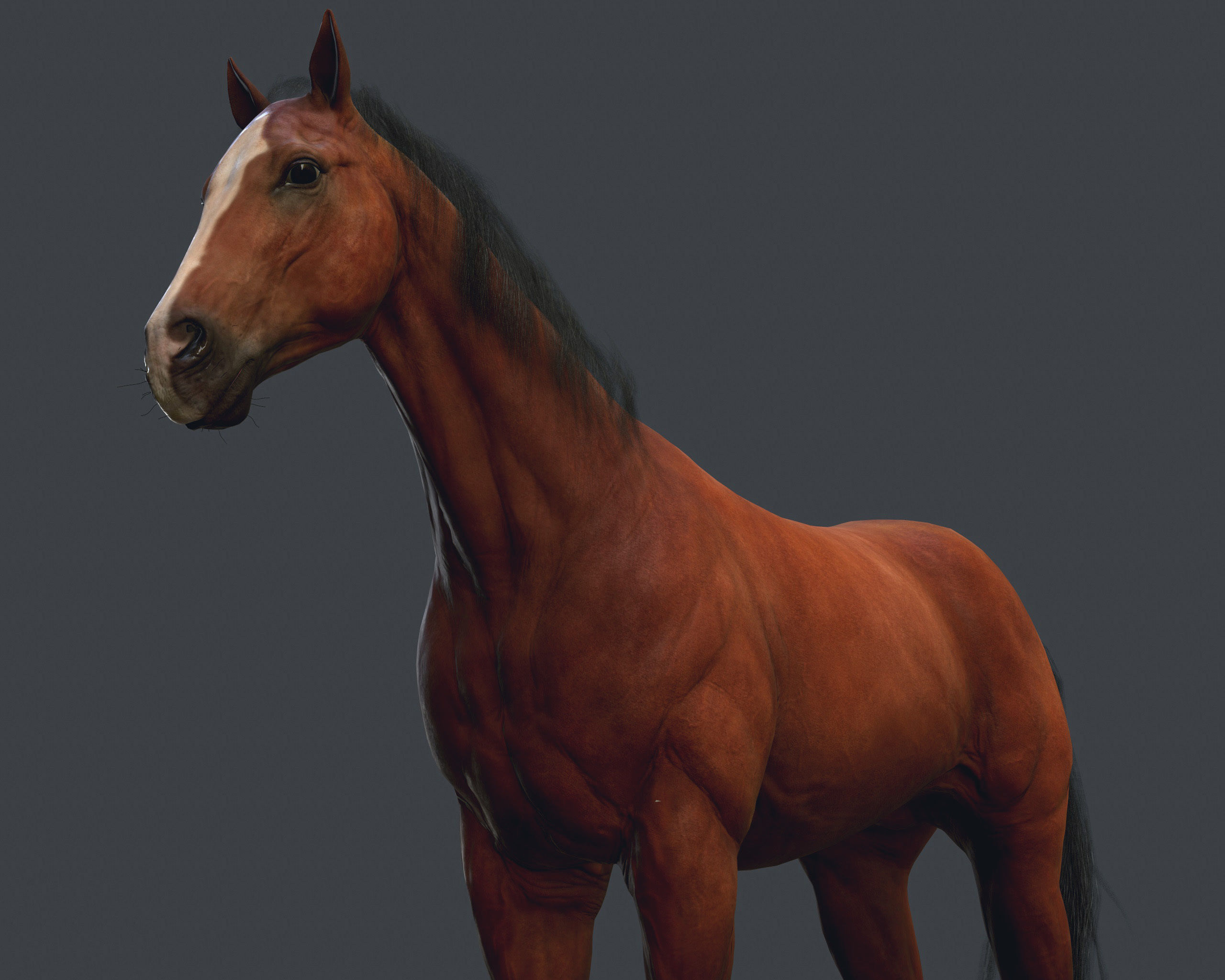 Game Horse up Low-poly 3D model_5