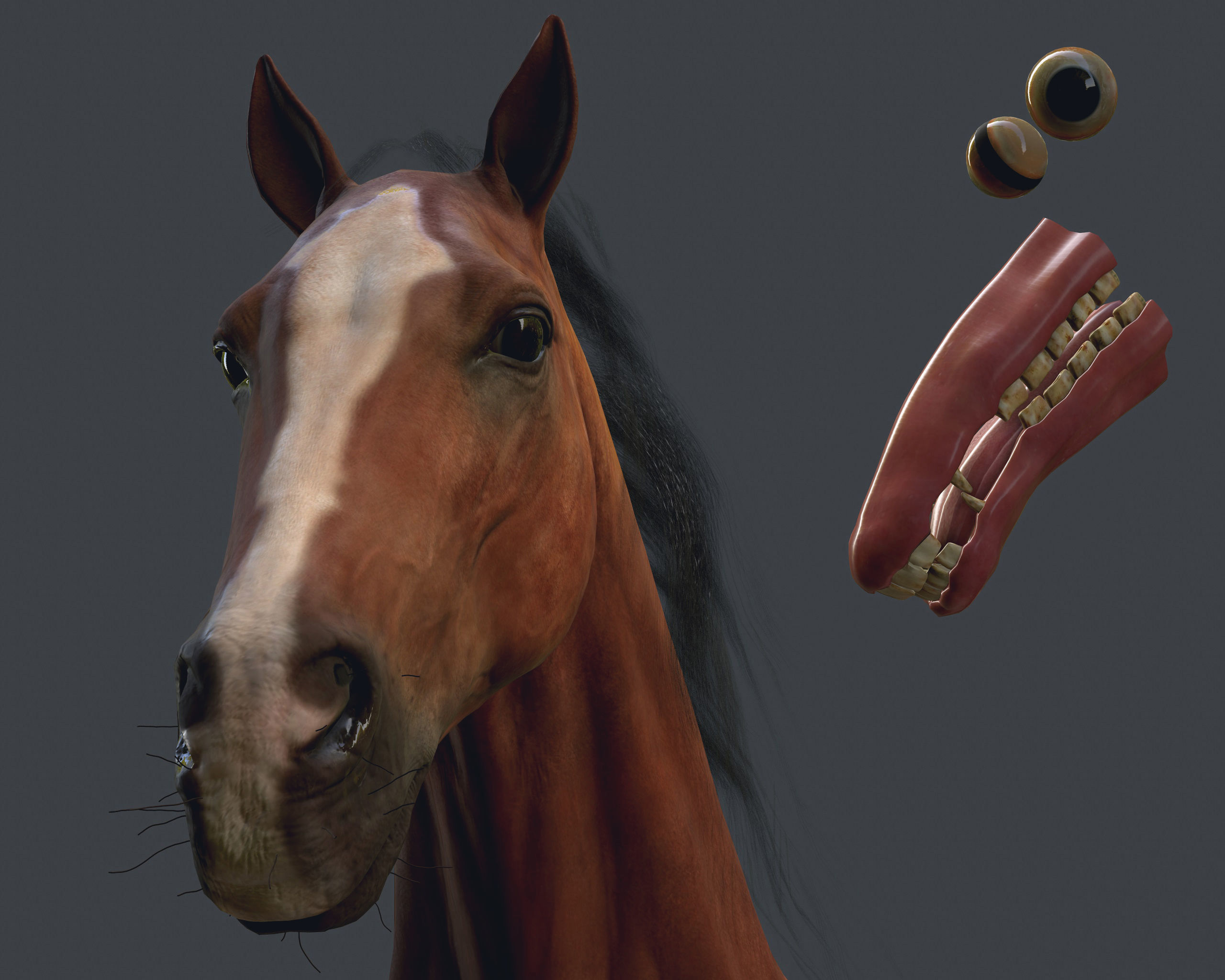 Game Horse up Low-poly 3D model_12