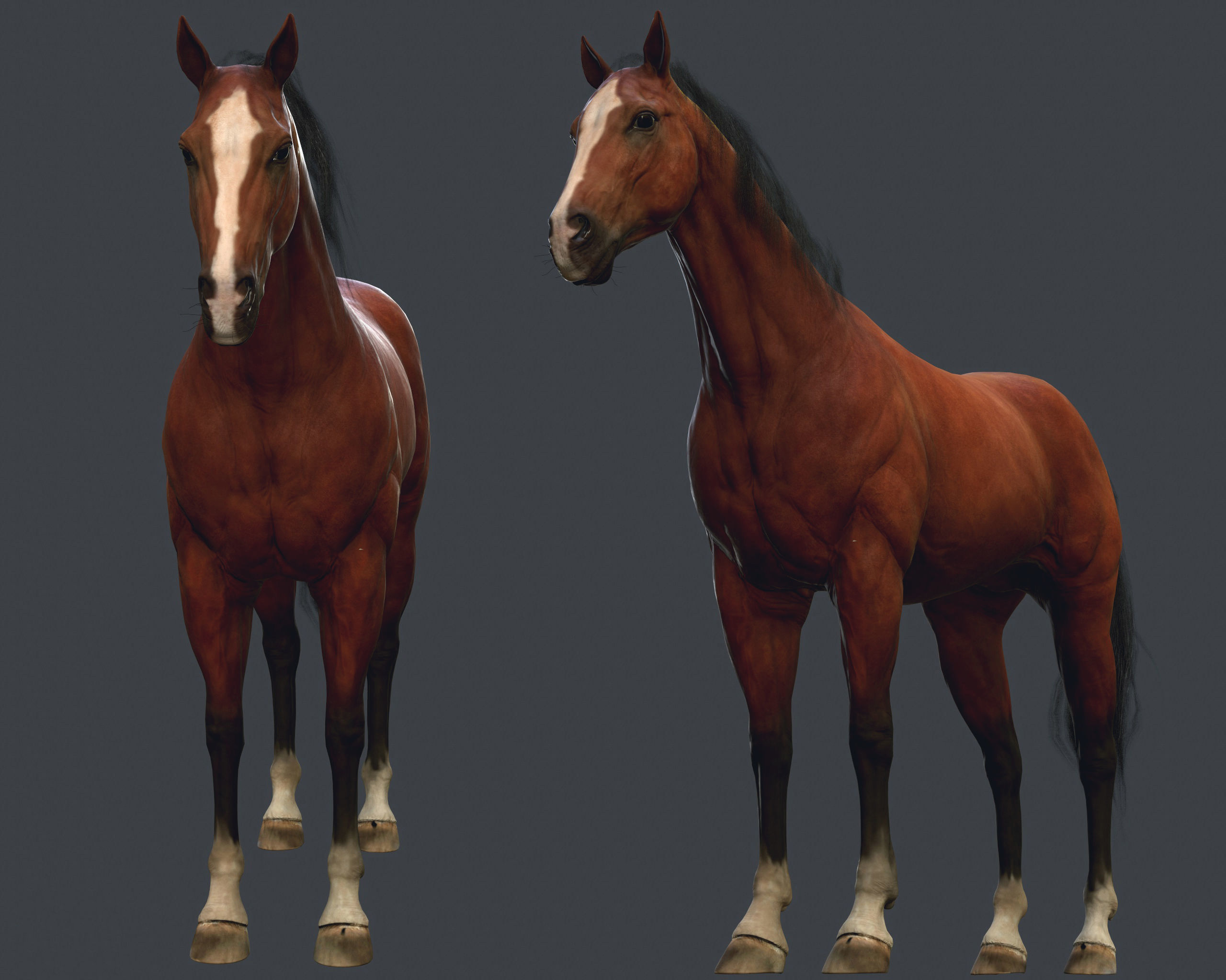 Game Horse up Low-poly 3D model_10