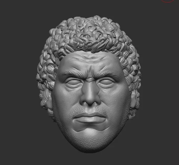 WWE Andre the Giant Headsculpt for Action Figures 3D print model