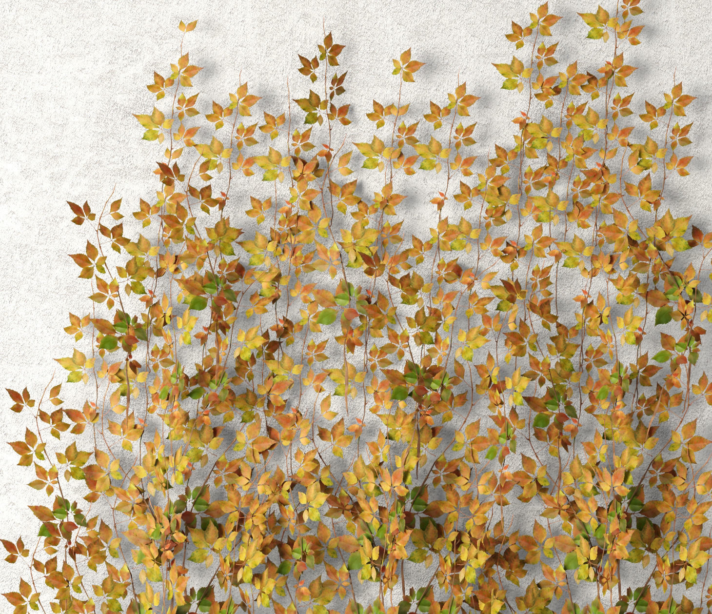 Vine leaves wall  3D model_5