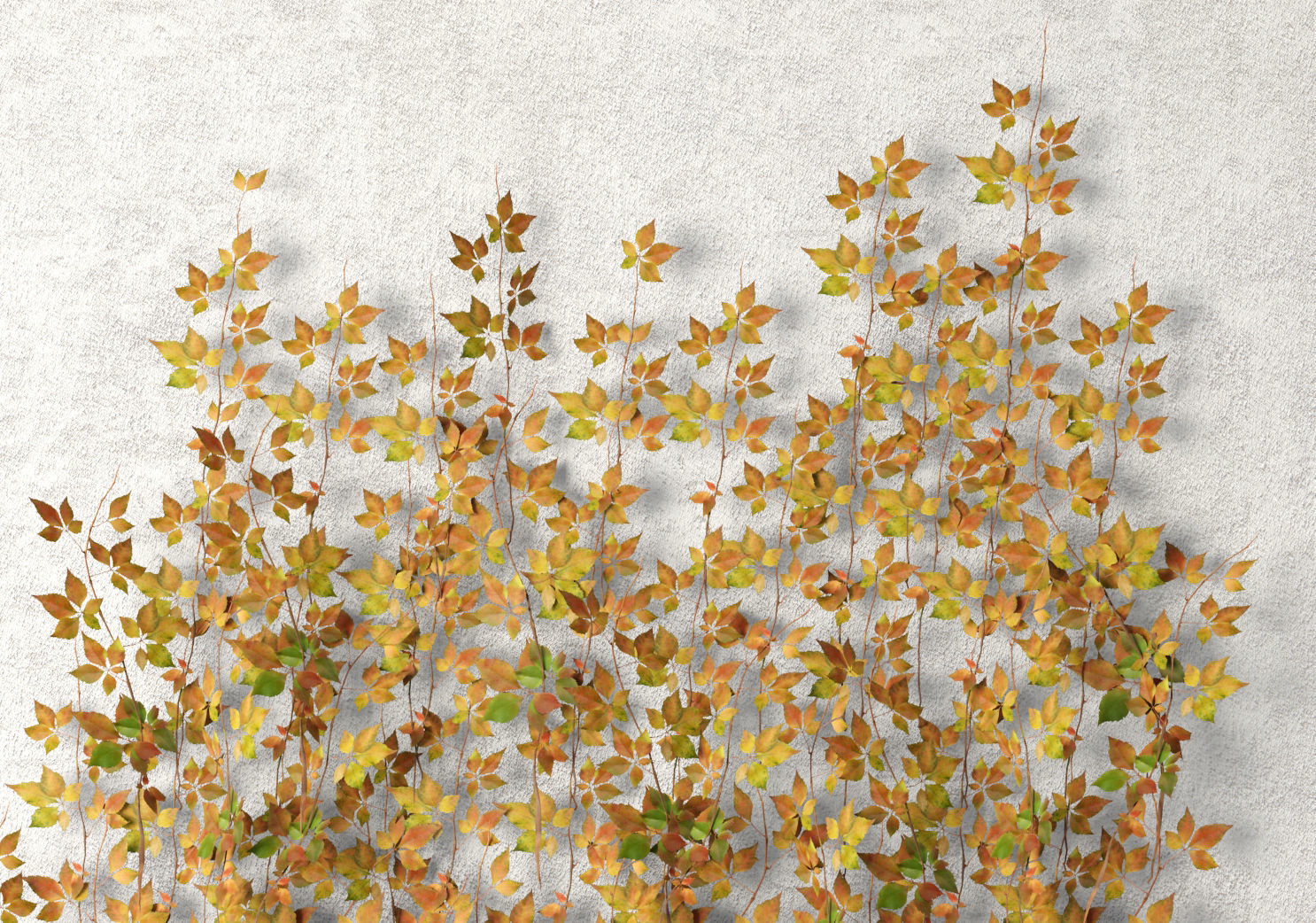 Vine leaves wall  3D model_2