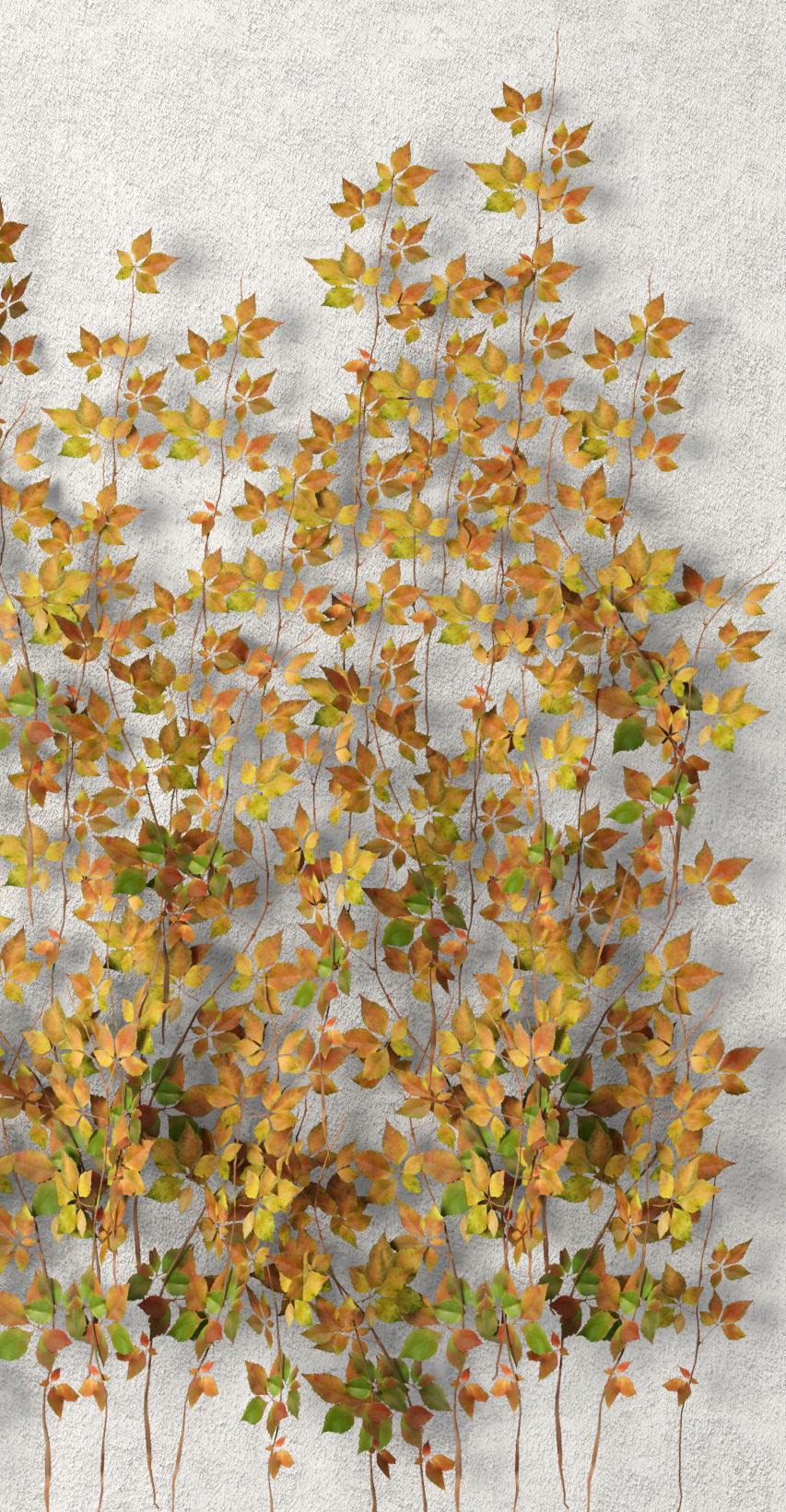 Vine leaves wall  3D model_4