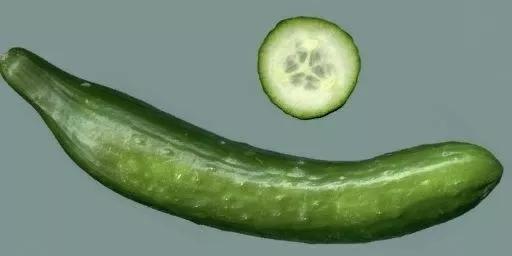 Cuted cucumber Free low-poly 3D model