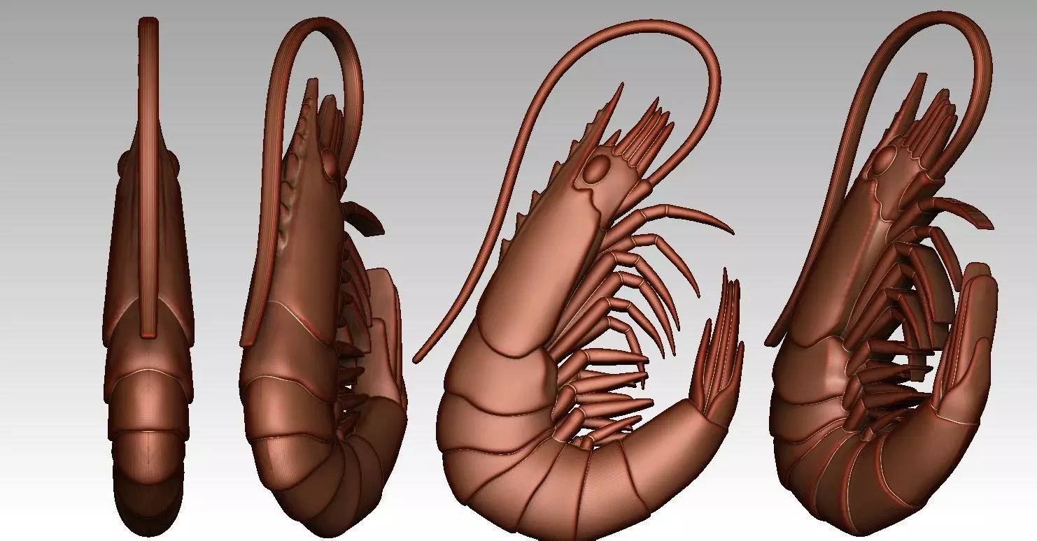 Statue shrimp 3D print model