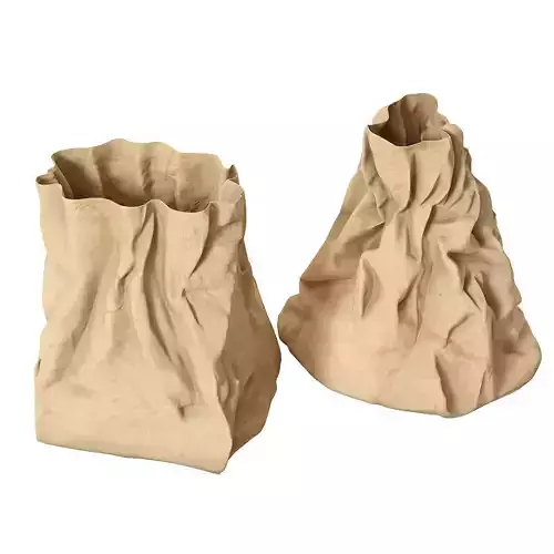 Paper bag 11 3D model 2