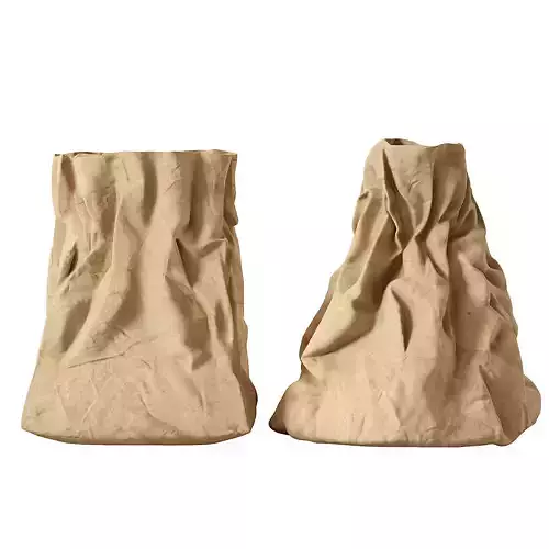 Paper bag 11 3D model
