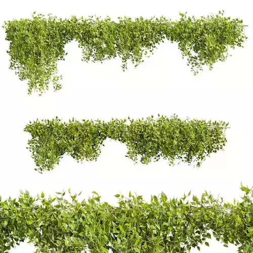 plant vol 823 - bush - Outdoor - ivy - pothos 3D model