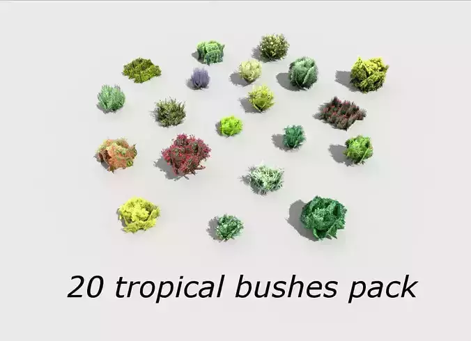 20 tropical bushes Pack