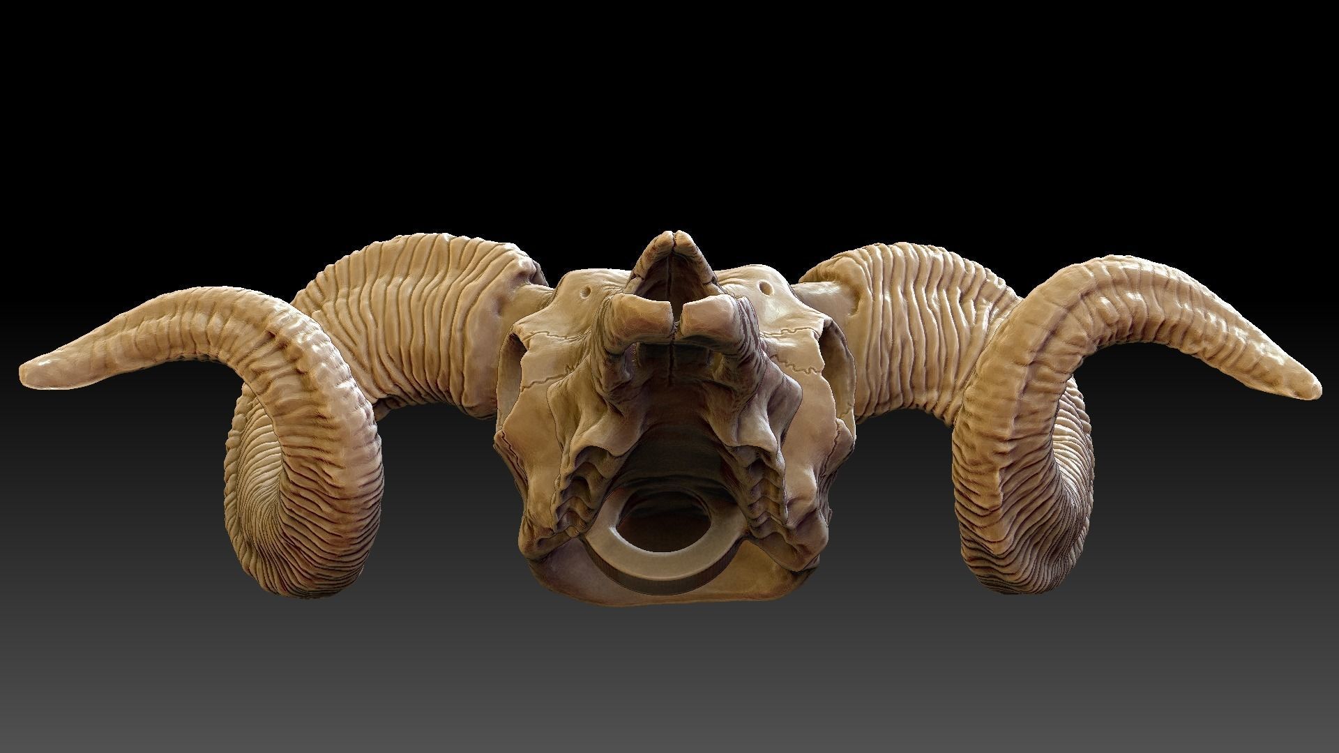 Ram Skull Pendant 3D print model_12
