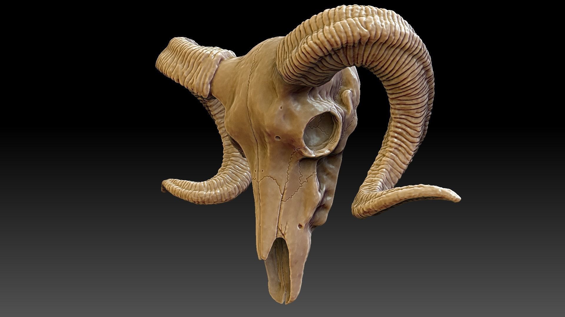 Ram Skull Pendant 3D print model_1
