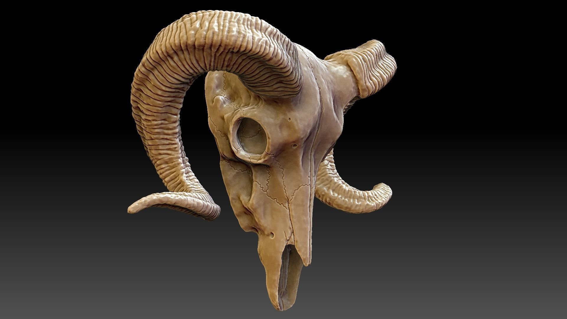 Ram Skull Pendant 3D print model_7