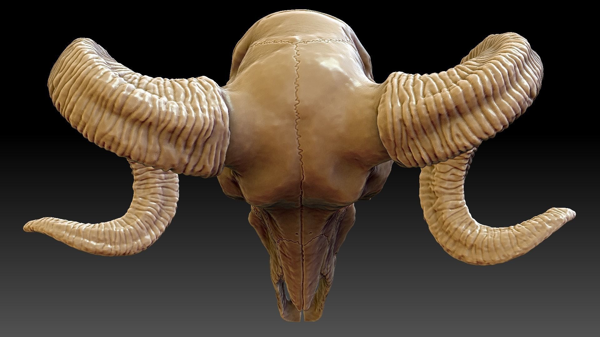 Ram Skull Pendant 3D print model_8