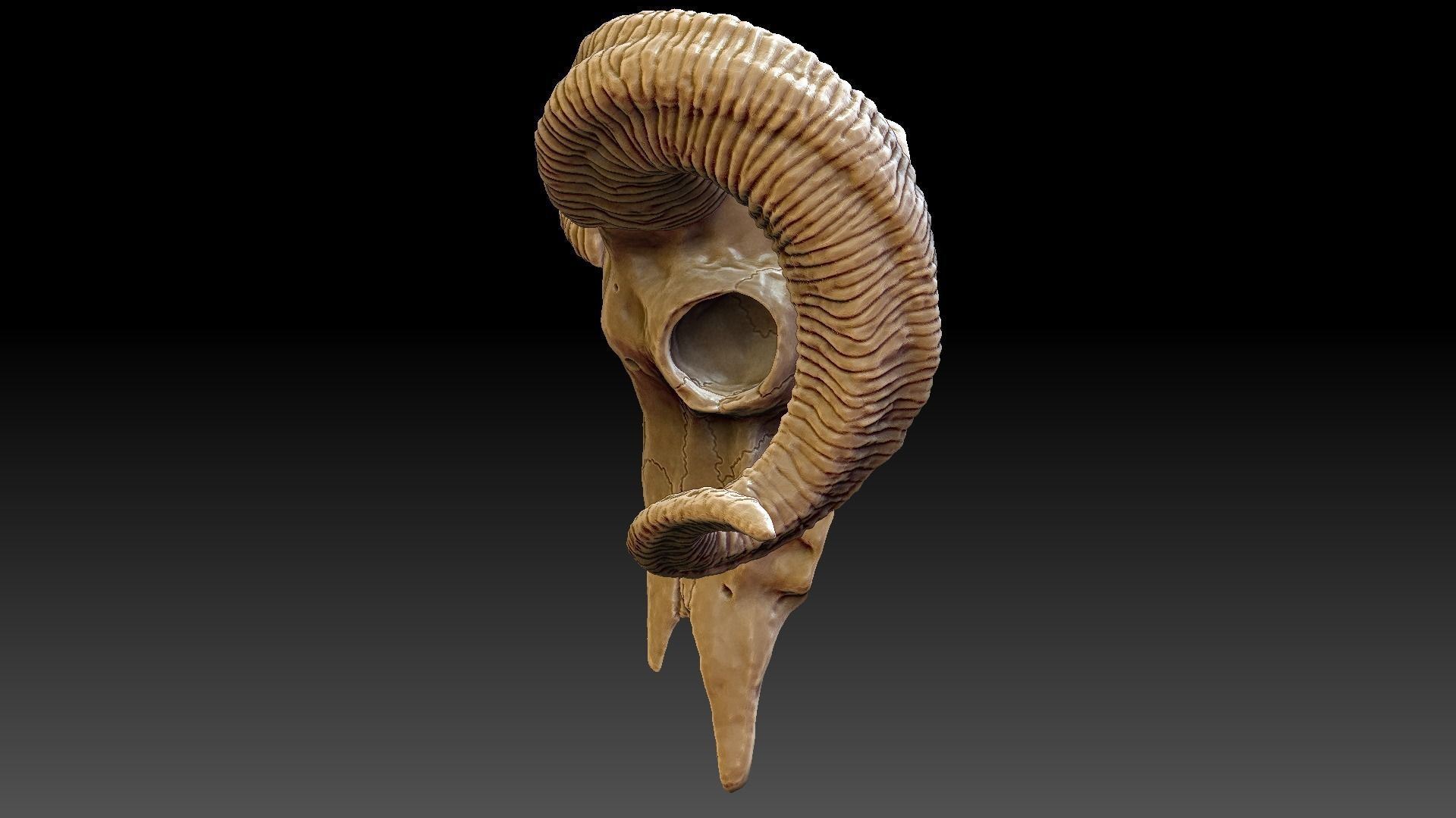Ram Skull Pendant 3D print model_2