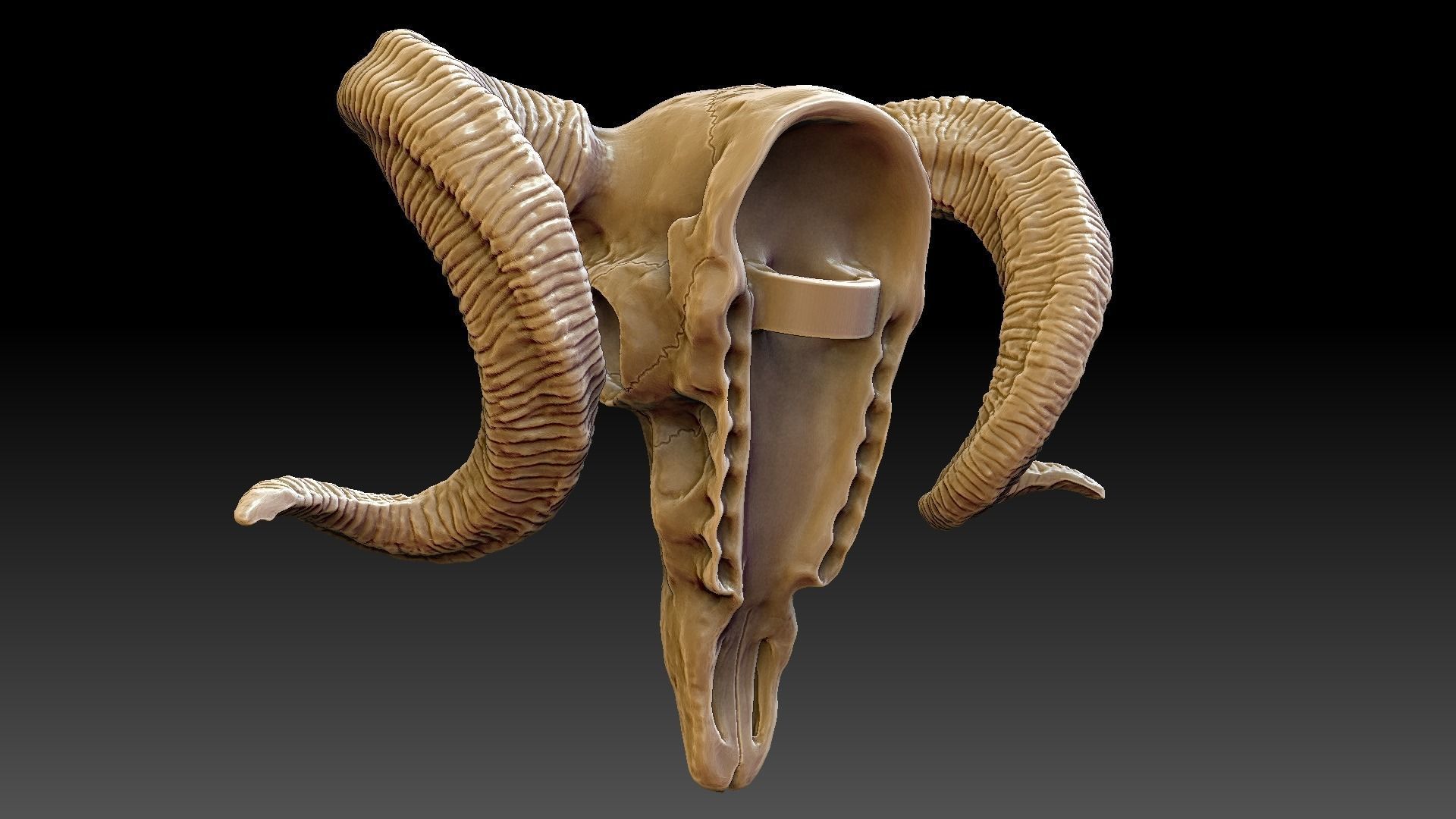 Ram Skull Pendant 3D print model_3