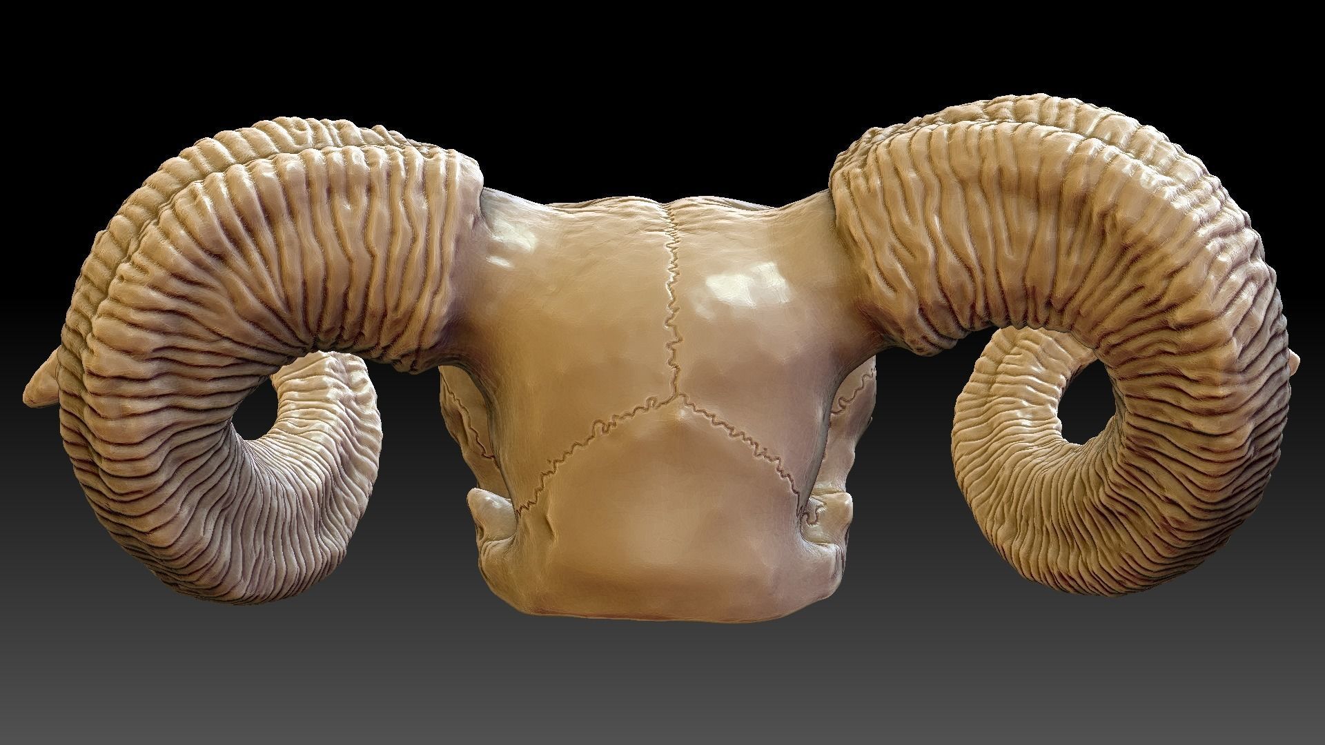 Ram Skull Pendant 3D print model_10