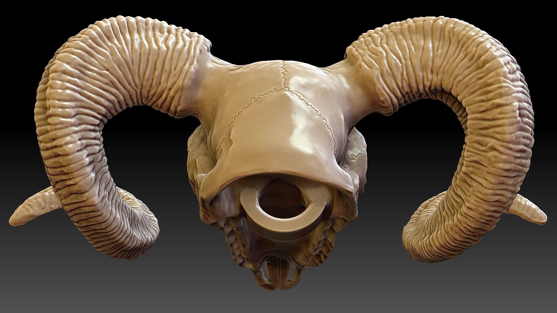 Ram Skull Pendant 3D print model_9