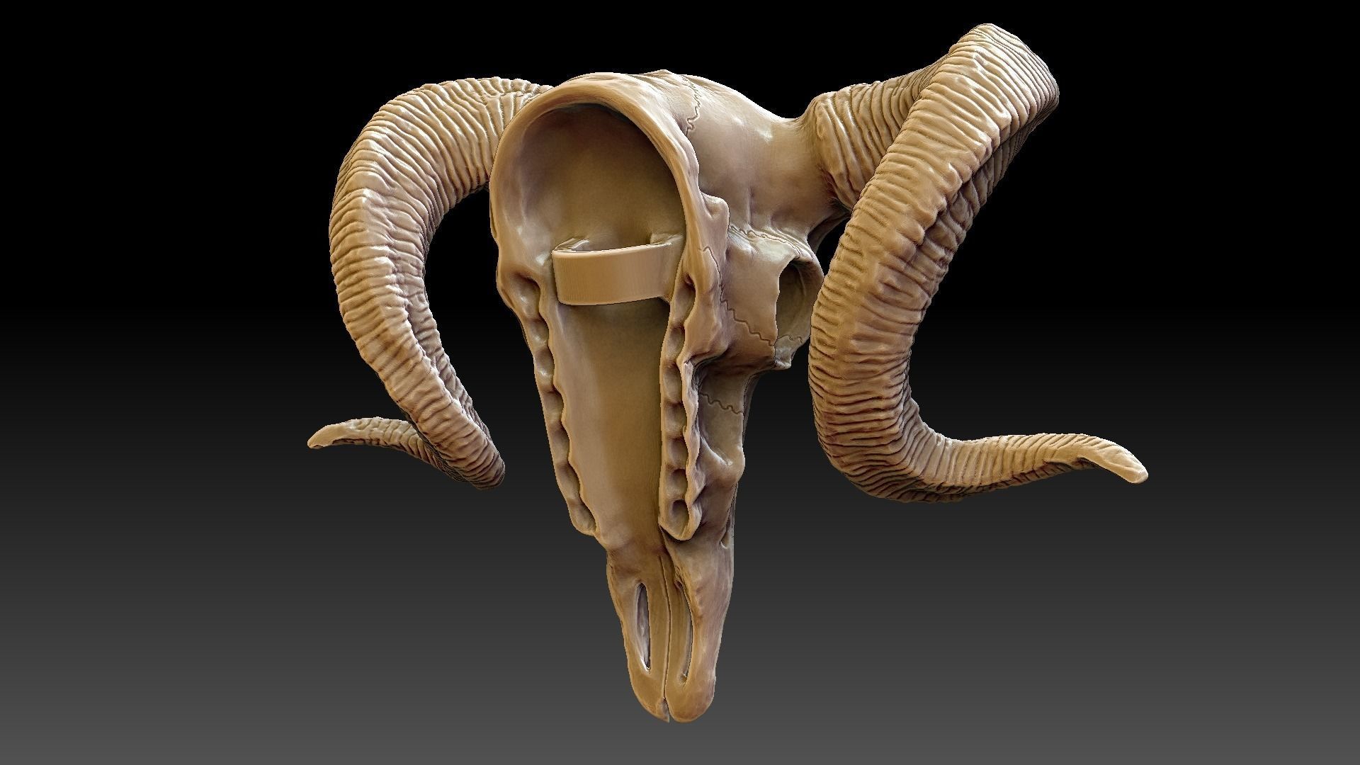 Ram Skull Pendant 3D print model_5