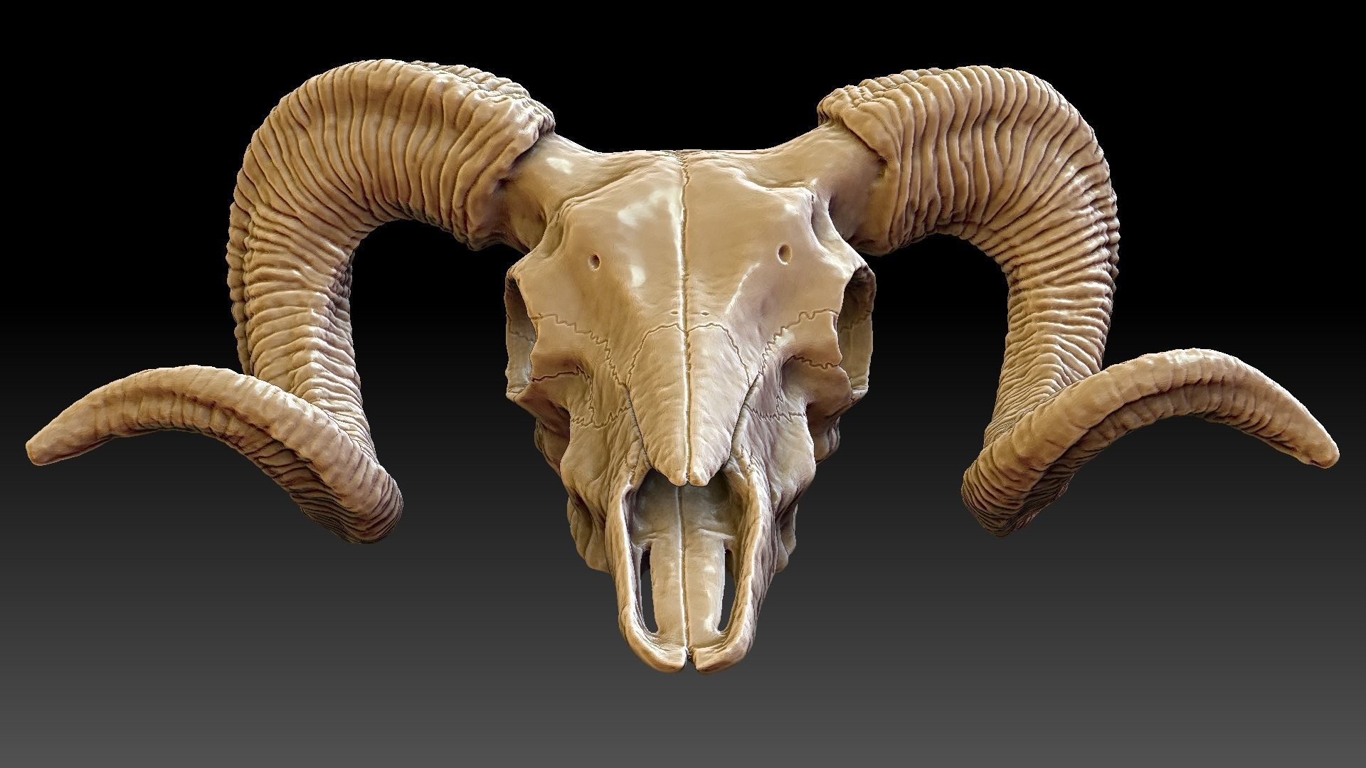 Ram Skull Pendant 3D print model_11