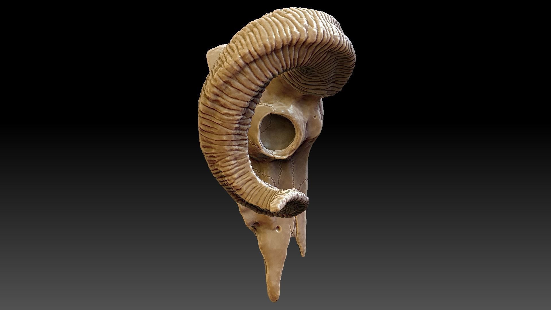 Ram Skull Pendant 3D print model_6