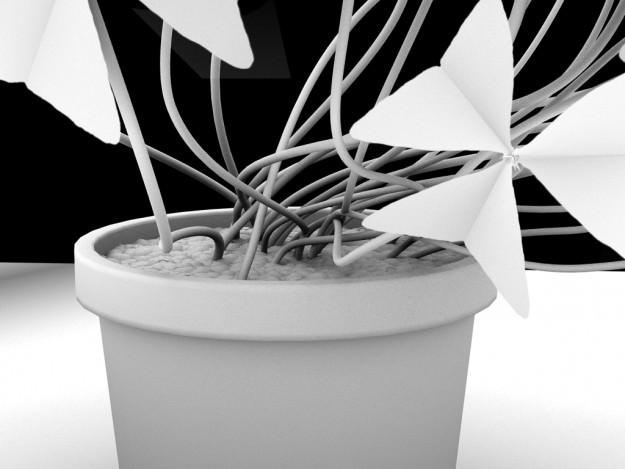 Oxalis triangularis STD MAT 3D model_10