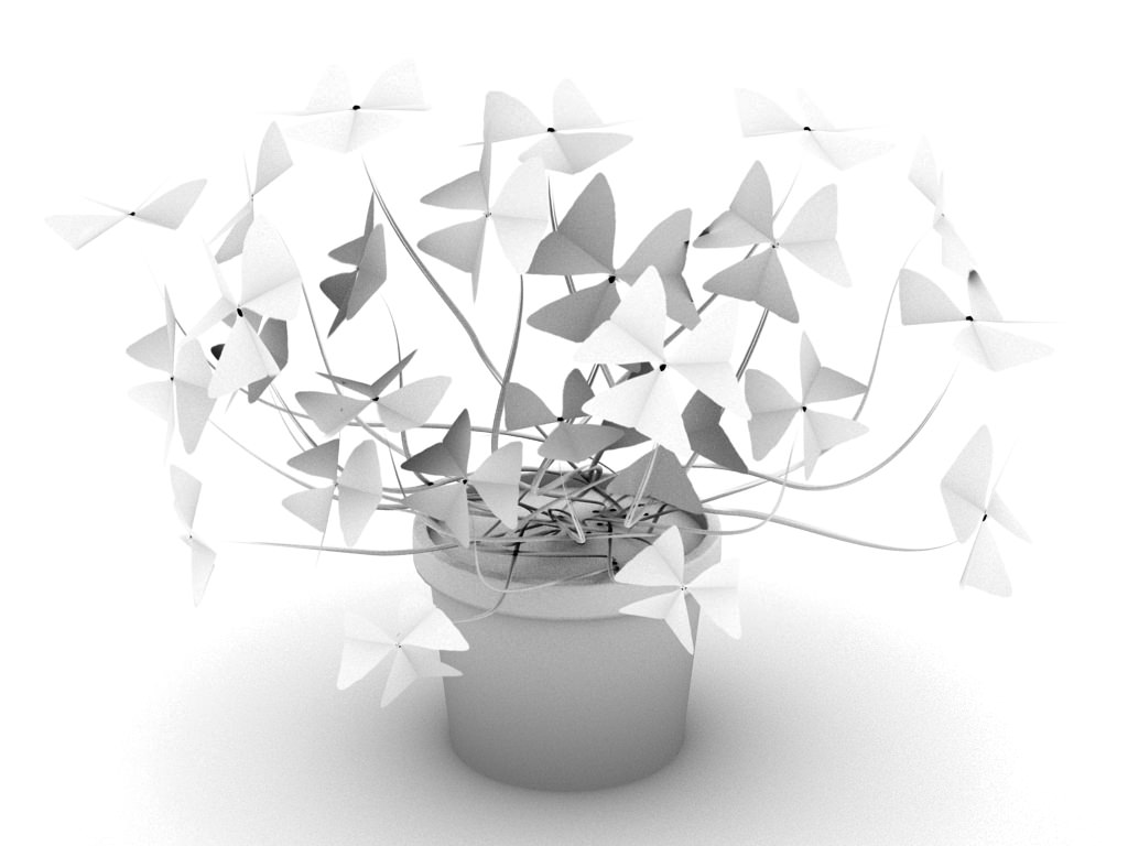 Oxalis triangularis STD MAT 3D model_11