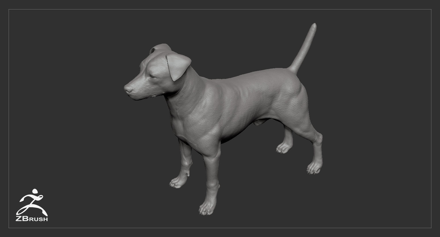 Jack Russell Real-Time Low-poly 3D model_37
