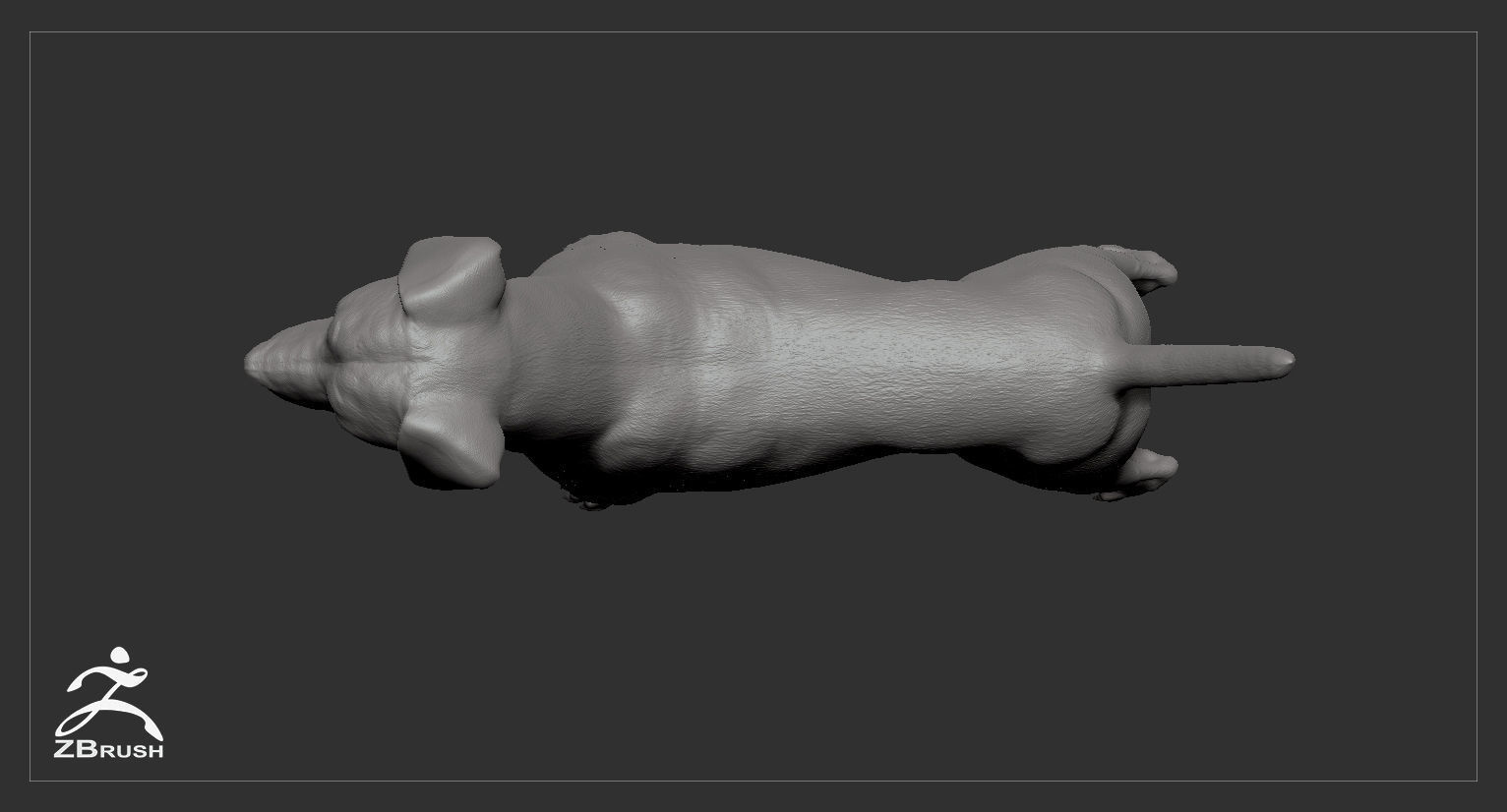 Jack Russell Real-Time Low-poly 3D model_38