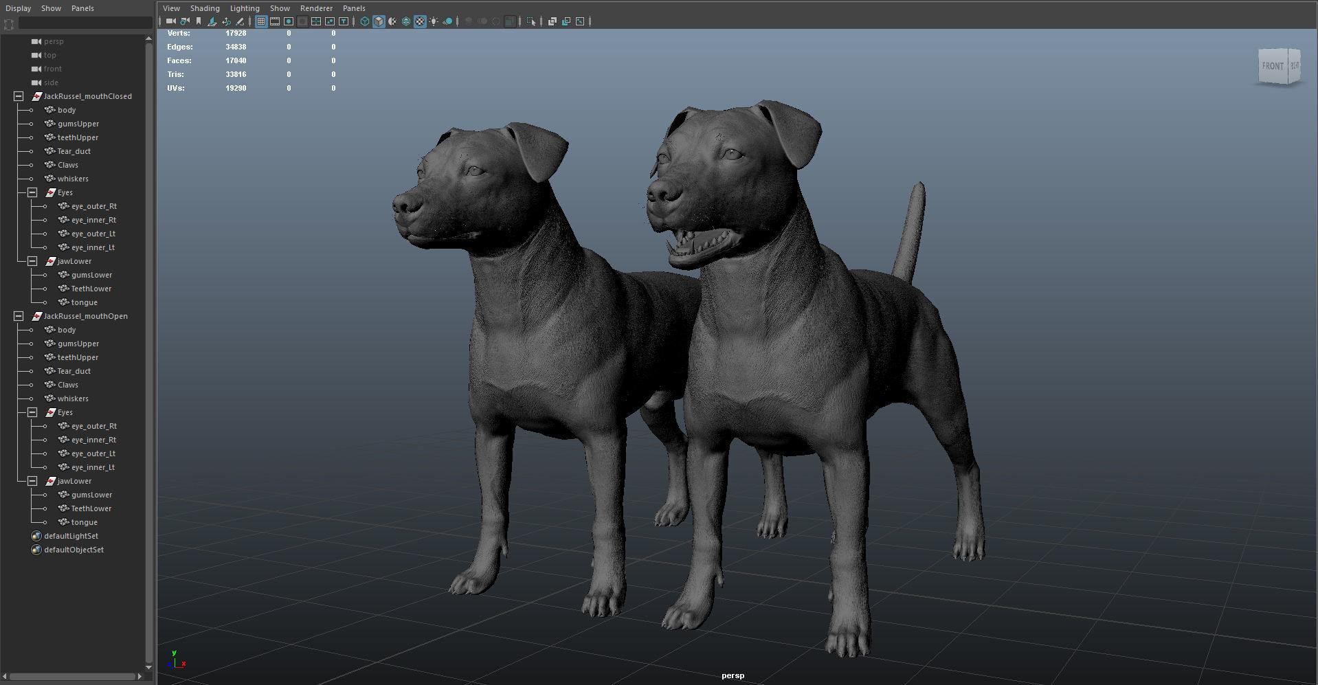 Jack Russell Real-Time Low-poly 3D model_42